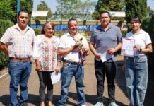Gobierno de Moni Valdez impulsa jornada de esterilización y llama a crear conciencia contra el abandono animal